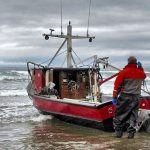 Dory Fishing Fleet